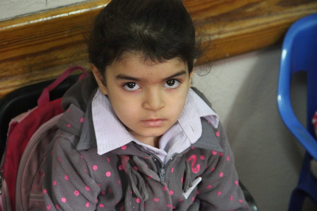 resized_img_0798-copy